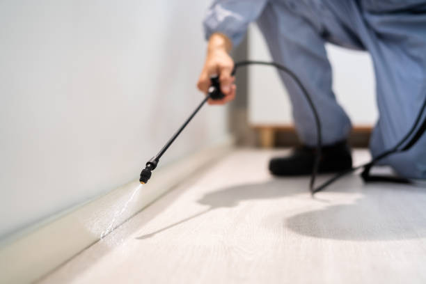 Professional exterminator conducting IPM assessment in Castle Pines
